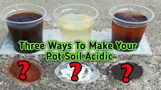 How To Make Your Pot Soil Acidic [upl. by Randell155]