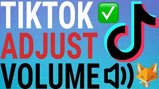 How To Adjust The Volume Of Your TikTok Videos [upl. by Hgielac]