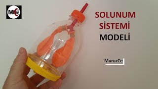 SOLUNUM SİSTEMİ MODELİ YAPIMI [upl. by Stace]