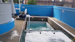 Recirculatory Aquaculture System at ICAR DCFR [upl. by Neva]