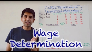 Wage Determination in a Perfectly Competitive Labour Market [upl. by Niattirb4]