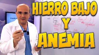 HIERRO BAJO y ANEMIA  Enfermedades 37 [upl. by Berg]