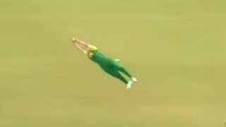 Best Catches in Cricket  All time Best Catches in Cricket History  Top 5 [upl. by Modnarb32]