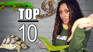 Top 10 Beginner Reptiles [upl. by Elitnahc775]