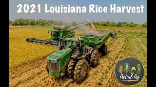 2021 Louisiana Rice Harvest 4K [upl. by Nwahsar]