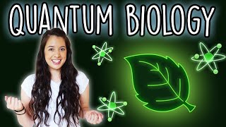 Quantum Biology Part 1  How Plants Use Quantum Mechanics [upl. by Spada982]