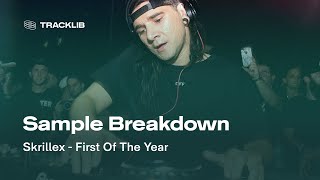 Sample Breakdown Skrillex  First Of The Year Equinox [upl. by Yelwah252]