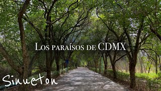 6 Lugares de CDMX donde olvidarás que existe el Caos [upl. by Ayikan824]