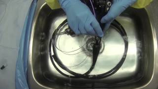 Flexible Endoscope Reprocessing  Manual Cleaning [upl. by Tewell]