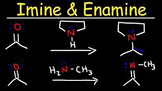 Imine and Enamine Formation Reactions With Reductive Amination [upl. by Yelsgnik]