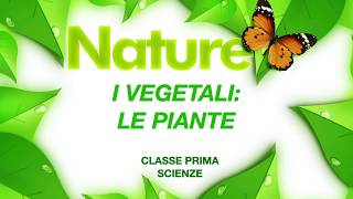 I vegetali piante fiori e frutti  Scienze classe prima scuola primaria [upl. by Evania]