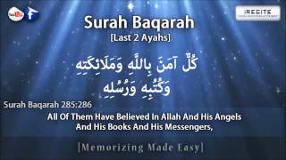 Surah Baqarah Last 2 Verses  Sheikh Ziyad Patel  Memorizing Made Easy  1080pᴴᴰ [upl. by Strickler]