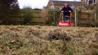 Lawn Scarification  Correct Scarification Procedure [upl. by Accebor862]