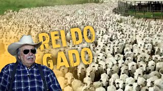 ELE É O VERDADEIRO REI DO GADO BRASILEIRO  200 MIL CABEÇAS DE GADO [upl. by Ellekim]