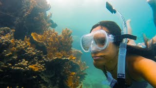 WATERVLOG Kaneohe Bay Kayaking  Freediving  East Oahu HAWAII  Cinematic GoPro 10 Underwater [upl. by Palmore]