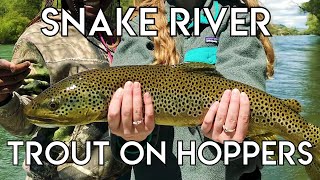 Epic Snake River Hopper Fishing [upl. by Mcquoid]