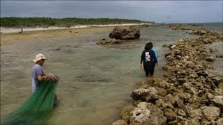 SATOUMI  Shiraho Community Ishigaki Island Okinawa Prefecture Japan [upl. by Aekal]