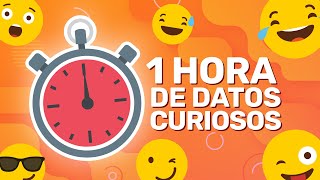 1 HORA SIN PAUSAS DE DATOS CURIOSOS XpressTV [upl. by Eisac413]