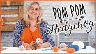 How To Make A PomPom Hedgehog  Easy Craft Tutorial [upl. by Indnahc]