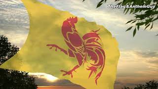 Flag and anthem of Wallonia [upl. by Shue]