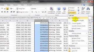 Reformatting Phone Numbers with Excel [upl. by Enelav]