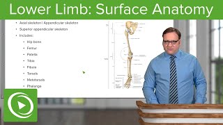 Lower Limb Surface Anatomy amp Osteology – Anatomy  Lecturio [upl. by Anelrats3]