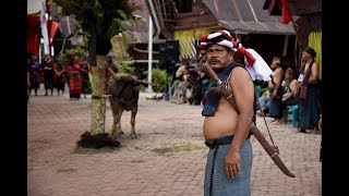 Begini Serunya Upacara Adat Tradisional Suku Batak Toba di Tomok [upl. by Swords573]