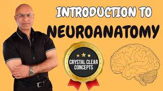 Intro to Neuroanatomy  Neurophysiology  Neuroscience  Central Nervous System [upl. by Romie]