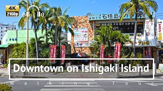 4KBinaural Downtown on Ishigaki Island Walking Tour  Okinawa Japan [upl. by Yoong]