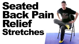 Seated Back Pain Relief Stretches [upl. by Akehs]