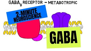 2Minute Neuroscience GABA [upl. by Mauricio]