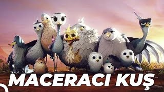 Maceracı Kuş Yellowbird Animasyon Filmi  Full Film İzle [upl. by Starr]