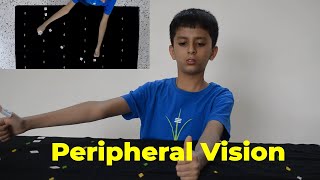 VISUAL TRACKING EXERCISE  How to improve your eyesight Training 1 [upl. by Kella]