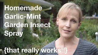 Homemade GarlicMint Garden Insect Spray that really works  AnOregonCottagecom [upl. by Alene899]