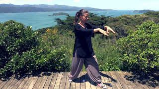 Tai Chi 5 Minutes a Day Module 01  Easy for Beginners  the Wave and Embracing the Moon [upl. by Dobrinsky]