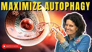 AUTOPHAGY  5 Keys to Maximize Autophagy Benefits [upl. by Ylrahc]