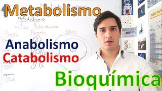 Metabolismo y Rutas metabólicas Anabolismo y Catabolismo EN 11 MINUTOS [upl. by Aekerly]