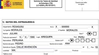 COMO RELLENAR EL FORMULARIO EX 17  ESPAÑA [upl. by Marcelia]