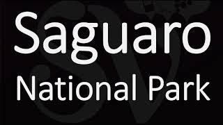 How to Pronounce Saguaro National Park Arizona [upl. by Llemrej767]