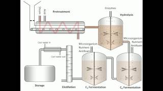 Process of Fermentation [upl. by Maidie]