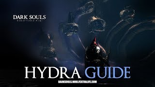 Hydra Mini Boss Guide  Dark Souls Remastered [upl. by Gintz]