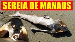 SEREIA DE MANAUS real mermaid [upl. by Ripley]