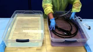 Flexible Endoscope Reprocessing  Disinfection [upl. by Einnal]