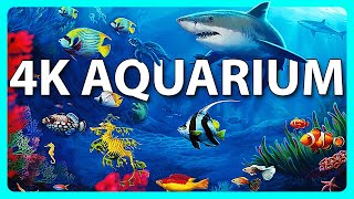 The Best 4K Aquarium for Relaxation 🐠 Relaxing Oceanscapes  Sleep Meditation 4K UHD Screensaver [upl. by Steel]