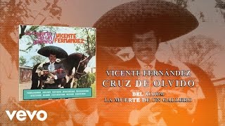 Vicente Fernández  Cruz de Olvido Cover Audio [upl. by Eadie]