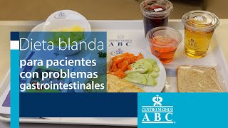 Dieta blanda para pacientes con problemas gastrointestinales [upl. by Pitarys321]