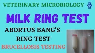 Milk Ring TestBrucellosis ABRT [upl. by Welch735]