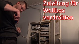 Wallbox im Zählerschrank anschließen ElektroM [upl. by Calvina]