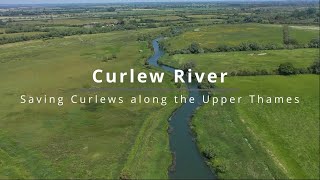 Curlew River [upl. by Xer]