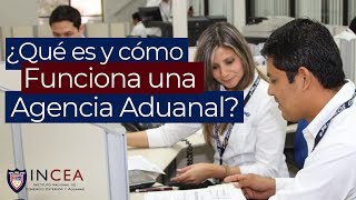 ¿Qué es y Cómo Funciona una Agencia Aduanal [upl. by Urbana530]